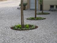 in Pflasterung integrierte Pflanz- und Baumscheiben 