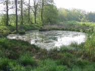 Profilieren der umlaufenden Böschungen im Verhältnis  1 : 4  und  1 : 5